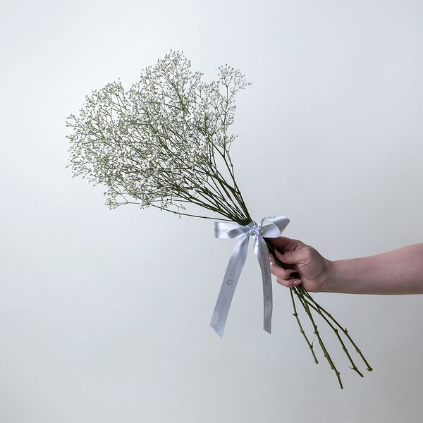 Букет цветов из Гипсофила 