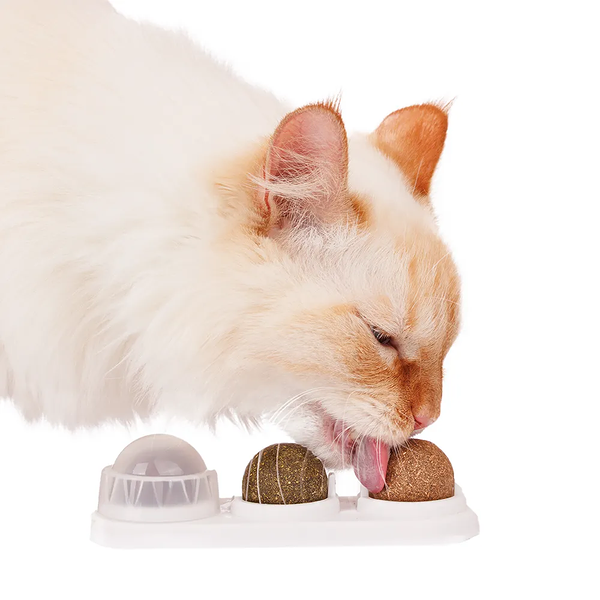 Игрушка для кошек Шарики-лизуны 13,5х4,8х3,5 см