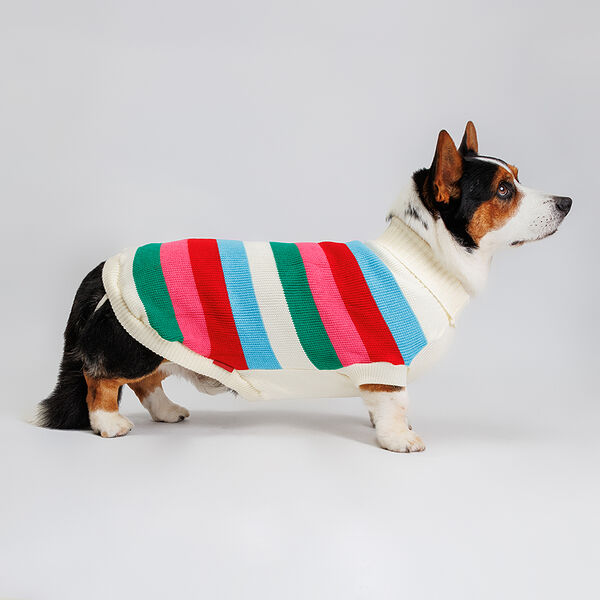 Свитер полосатый разноцветный 50см