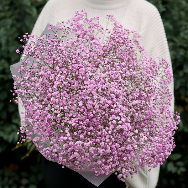 Букет из 11 розовых гипсофил