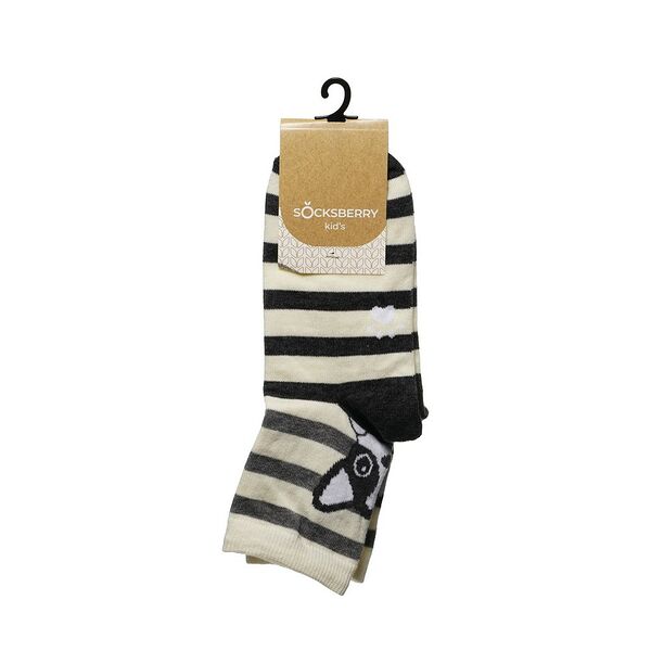 Детские носки Socksberry Kids KS-0019 