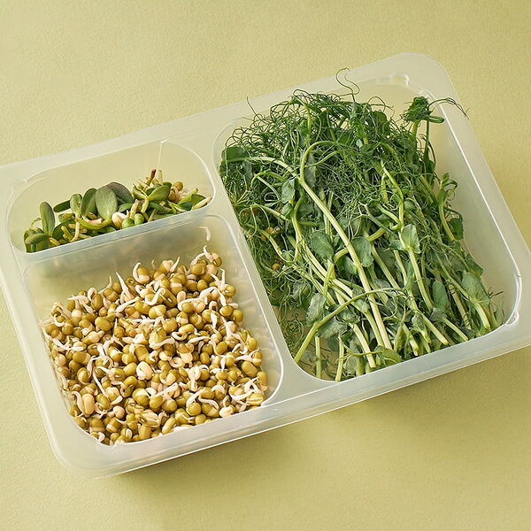 Микс Спортивный зеленый горошек, проростки маш, подсолнечник