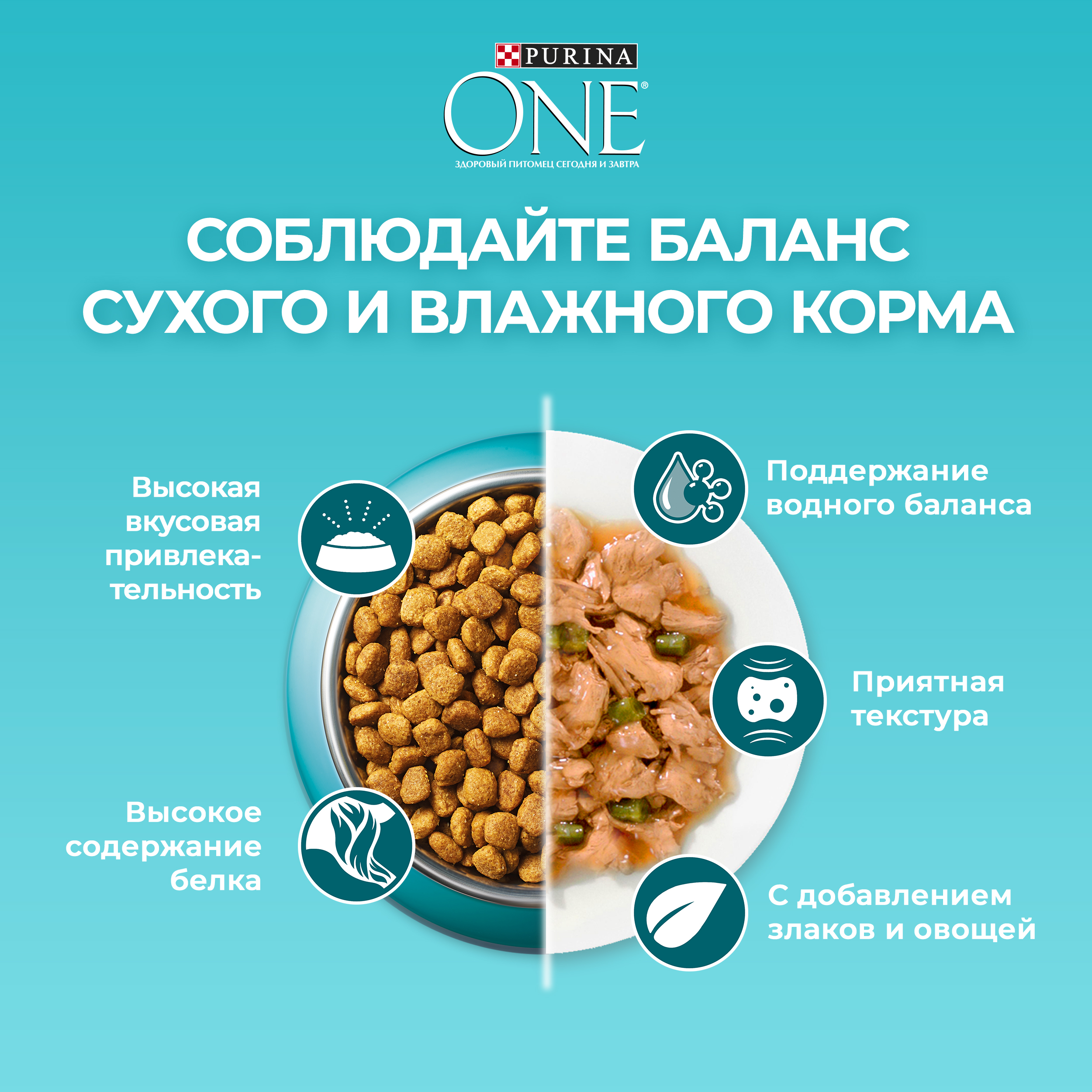 

Сухой корм Purina One для взрослых кошек, с высоким содержанием говядины и цельными злаками Пакет 750 г