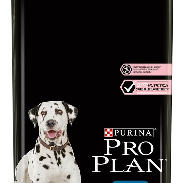 Pro Plan Large Adult Athletic для крупных собак атлетического телосложения с чувствительной кожей Лосось