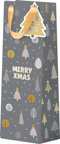 

Пакет подарочный X-mas, евролюкс, 36x10,5x10 см, Арт. BL в ассортименте 1 шт.