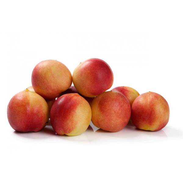 Абрикотин (гибрид нектарина и абрикоса)