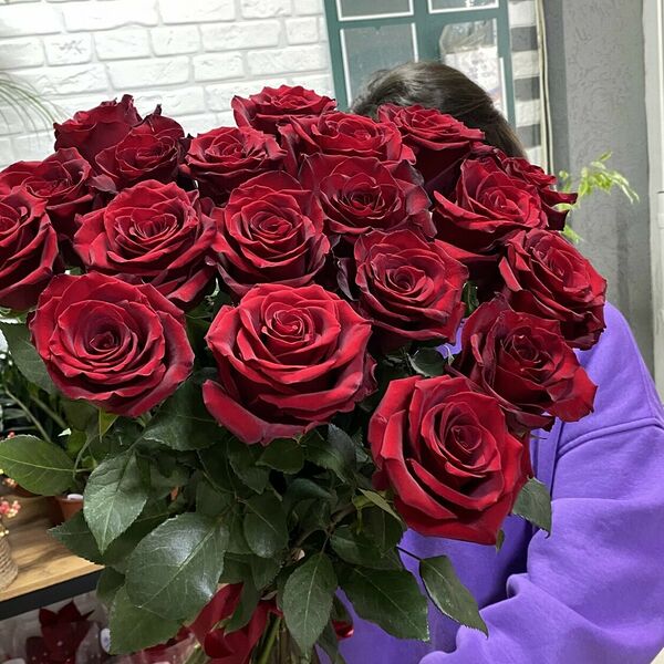 Роза 70см Красная