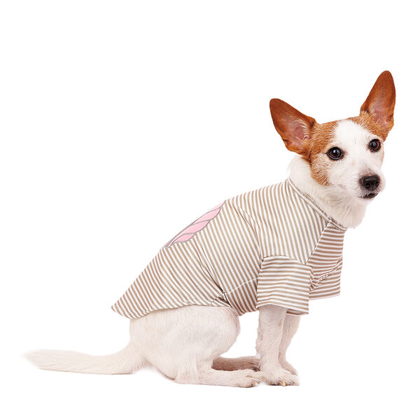 Футболка для собак с лошадкой L бежевый (унисекс)