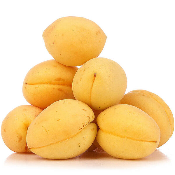 Абрикос Шалах Армения