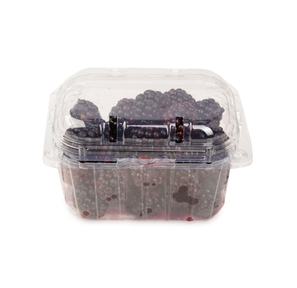 

Ежевика 250 г