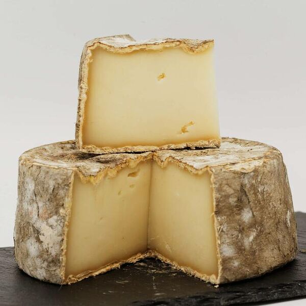 Сыр Томм козий