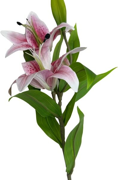 Лилия розовая 75см