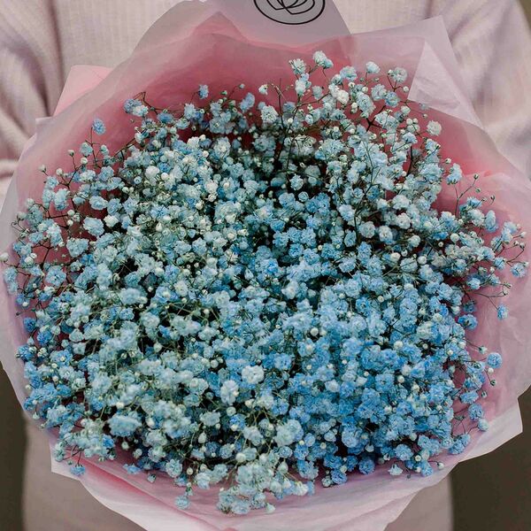 Букет из 7 голубых гипсофил