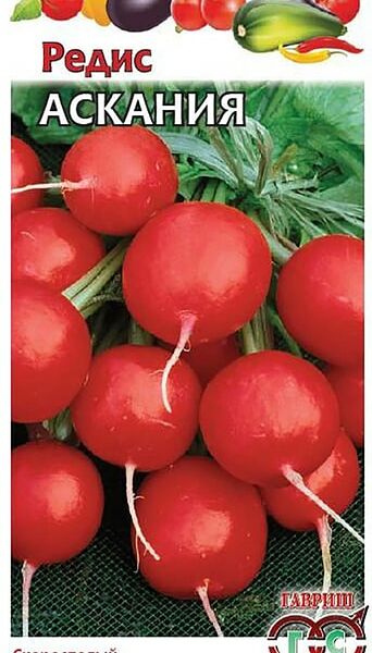 Семена Гавриш Редис Аскания 2г