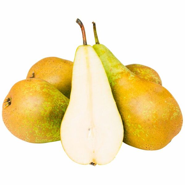 Груши Конференс