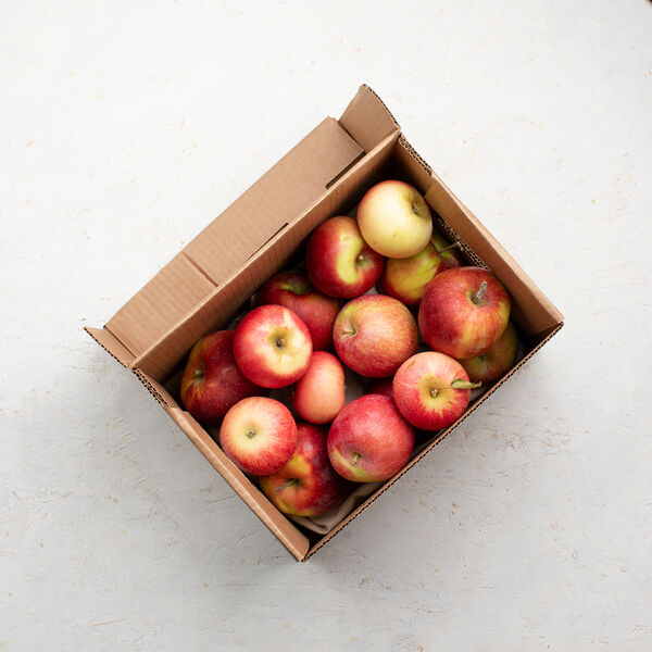 Фестиваль яблок