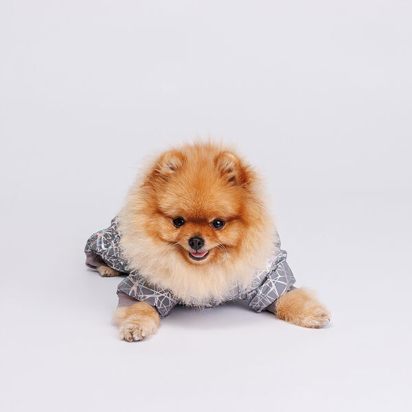 Комбинезон светоотражающий для собак, XS, цветные линии