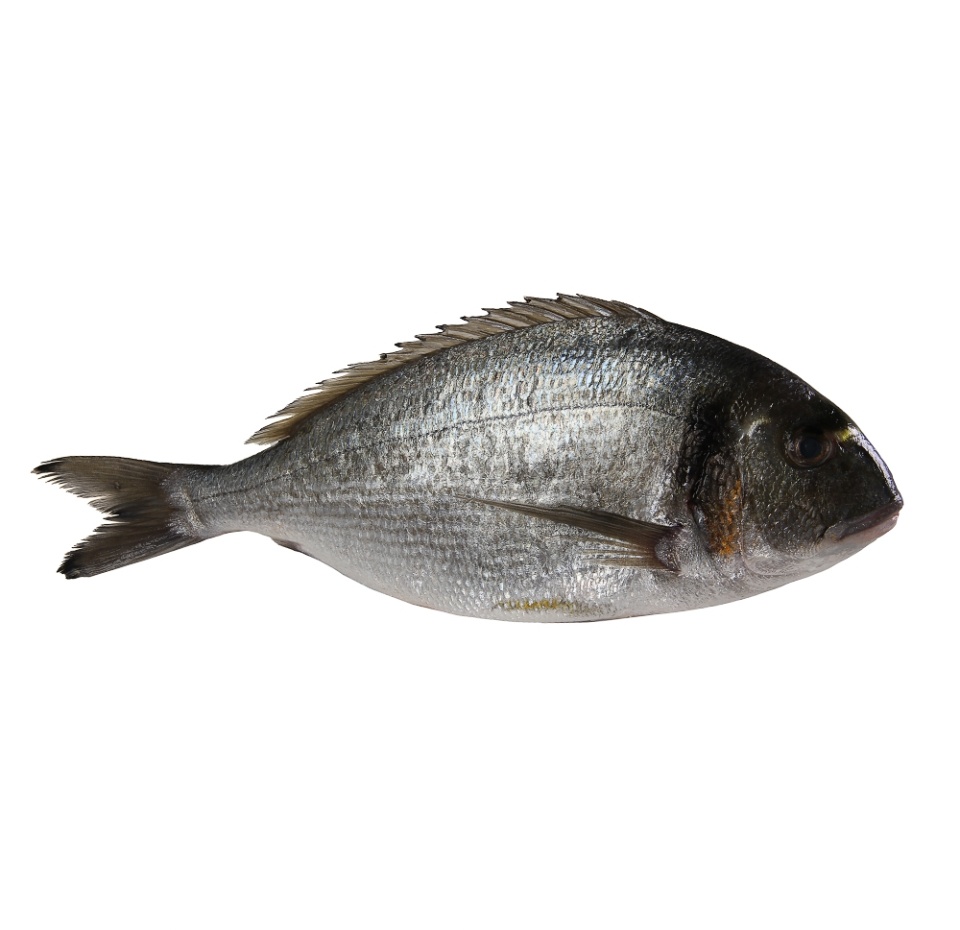 

Пагр (Королевская дорада) не потрошенная, Египет