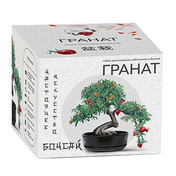 Набор Сад Радости для создания бонсай Гранат, Россия