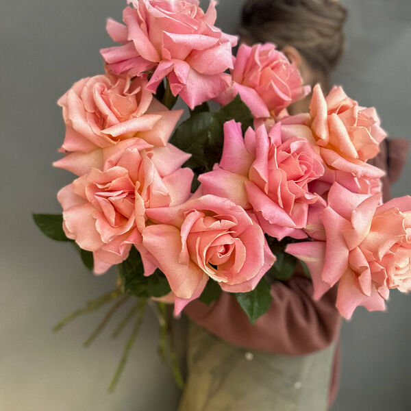 9 роз французских Hermosa