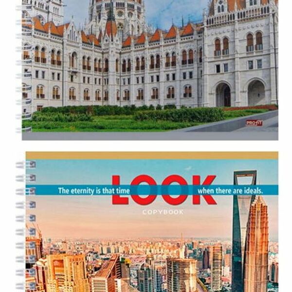 Тетрадь Проф-Пресс Вид на мегаполисы клетка, 48 листов