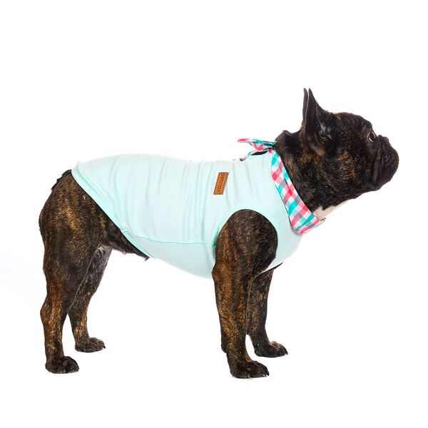 Футболка с галстуком для собак L бирюзовый (унисекс)