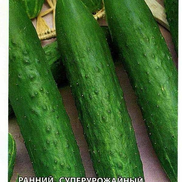 Семена Огурец Апрельский 10 шт ТМ Удачные семена