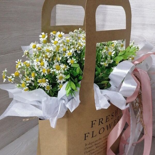 Сумочка с ромашками