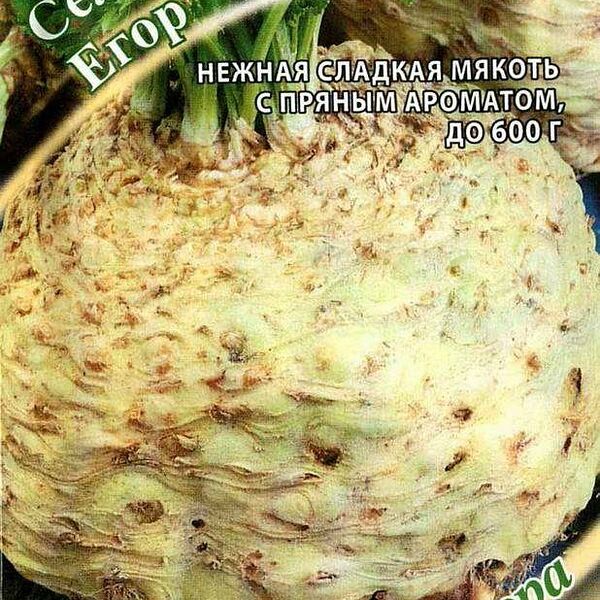 Семена Сельдерей корневой Егор ТМ Гавриш