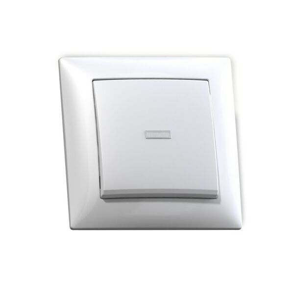 Выключатель Селена С110-395 одноклавишный