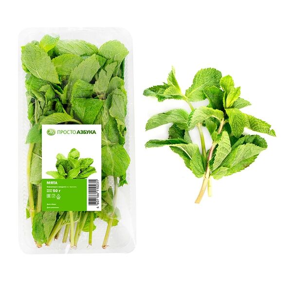 Мята, «Просто Азбука»