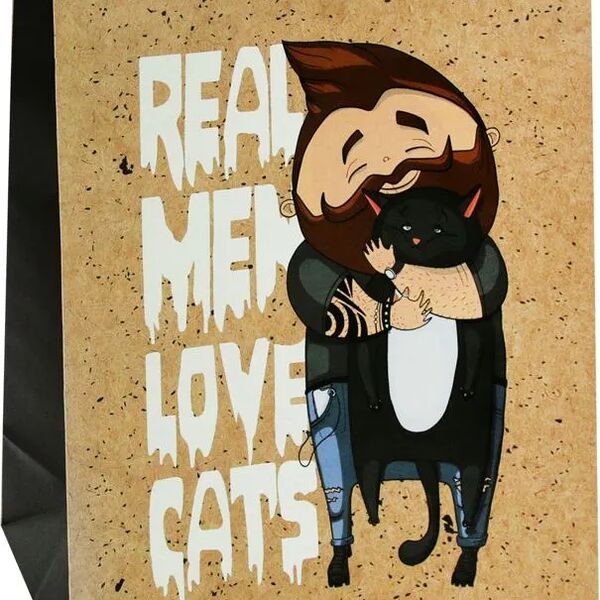 Пакет подарочный Meshu Real men, 26х32х12 см