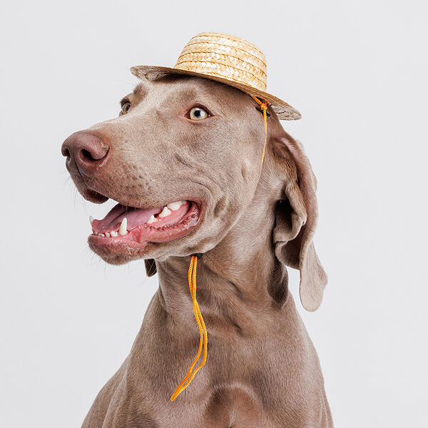 Шляпка соломенная M 16см