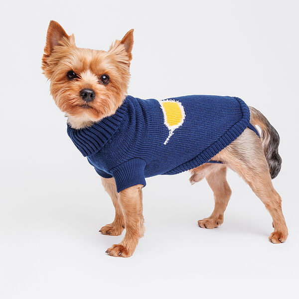 Свитер для собак, 25 см, синий с очками