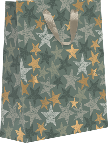 

Пакет подарочный Military с тиснением, 25,5х31,5х11см, в ассортименте