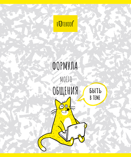 Тетрадь общая ПЗБМ Формула кота, А5 48 листов в клетку на скрепке, Арт. 27476 в ассортименте