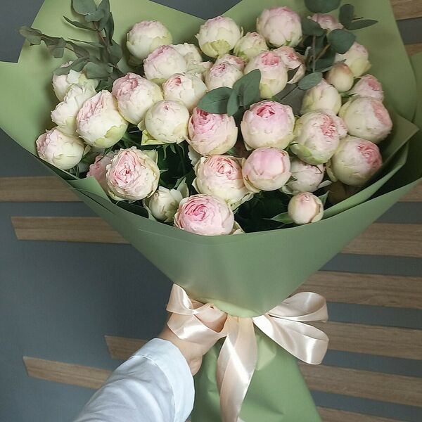 Мэндсфилд парк. Пионовидная кустовая роза