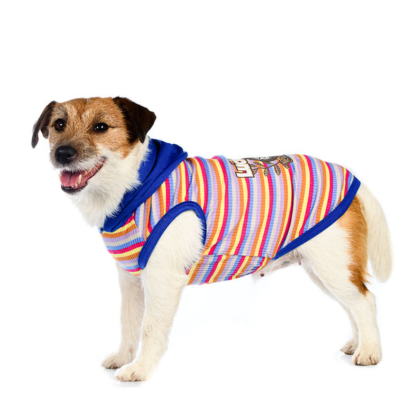 Футболка с капюшоном для собак XL синий (унисекс)