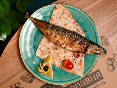Скумбрия