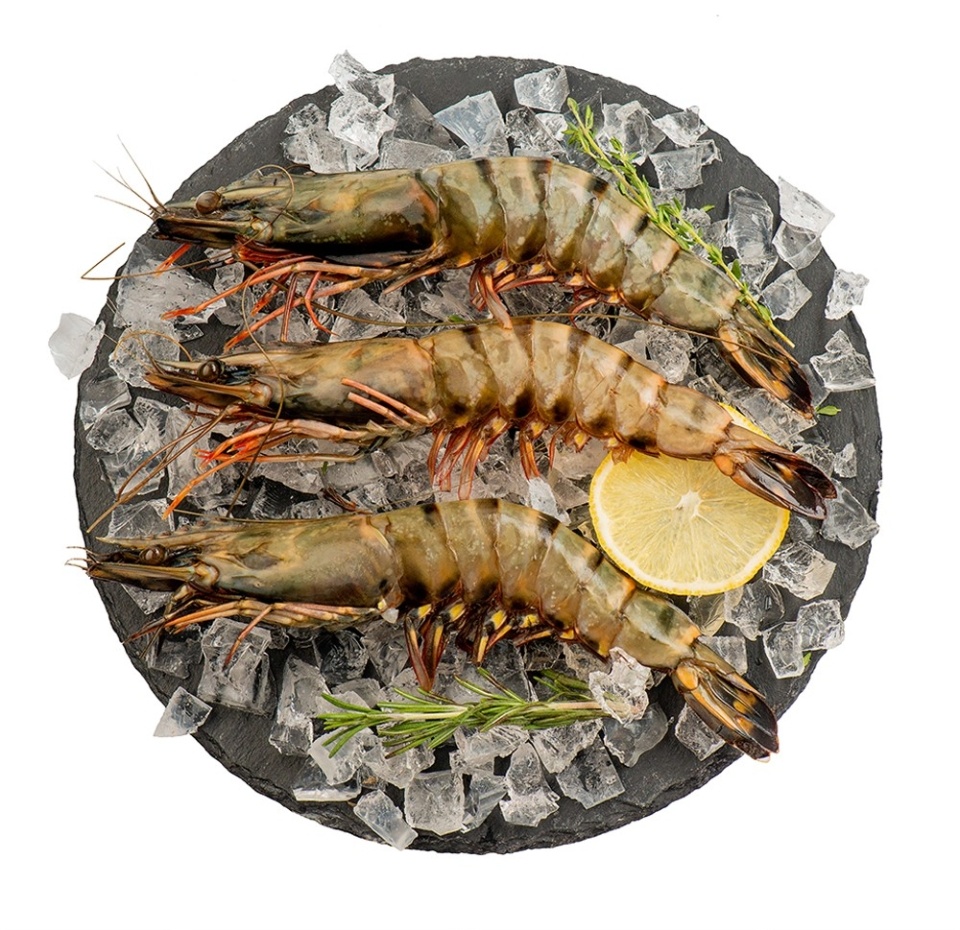 

Креветки охлажденные Юнона тигровые 6/8 Индийский океан Шри-Ланка вес