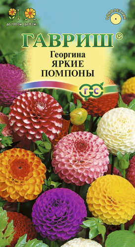 

Семена Гавриш Георгина Яркие помпоны, 0,2 г