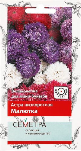 

Семена ПОИСК Астра низкорослая Малютка, 1,2г