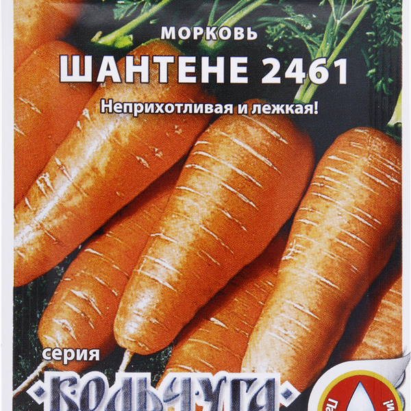 Семена Русский огород Кольчуга, Морковь Шантене 2 г