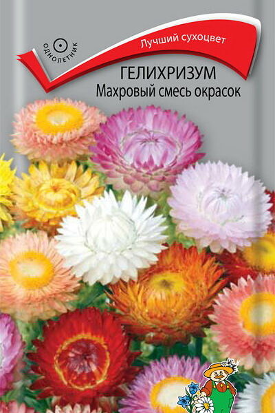 Семена гелихризум махровый - смесь ТМ Поиск