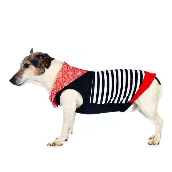 Футболка с капюшоном для собак Space-Travel L синий (унисекс)