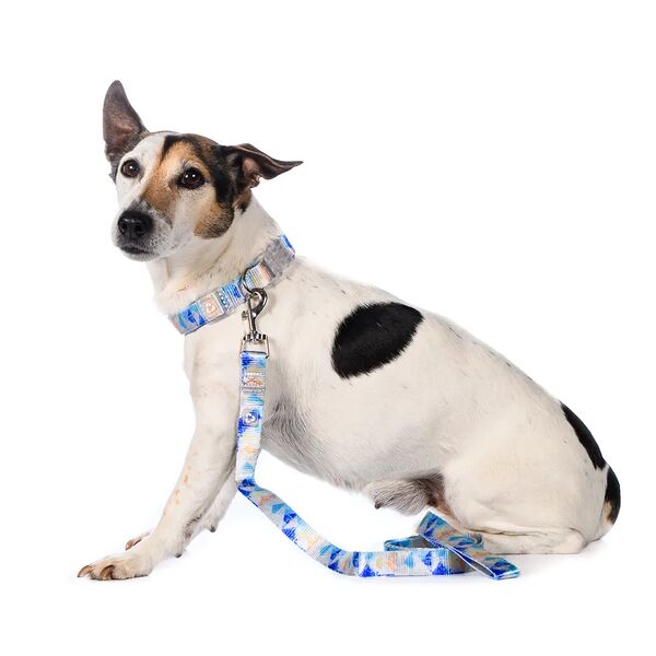 Поводок серо-голубой L 2,5x120см Save-the-planet