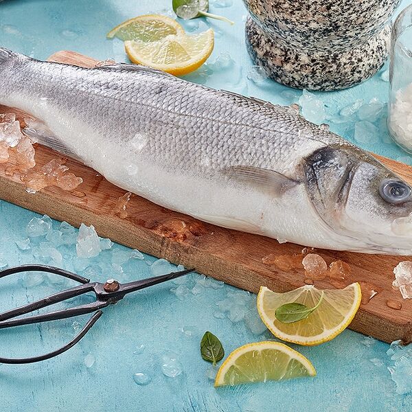 Сибас обыкновенный