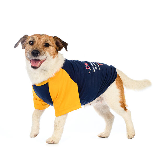 Футболка для собак S синий (унисекс)