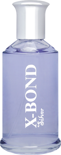 

Туалетная вода мужская X-BOND PARFUMS Silver, 100мл