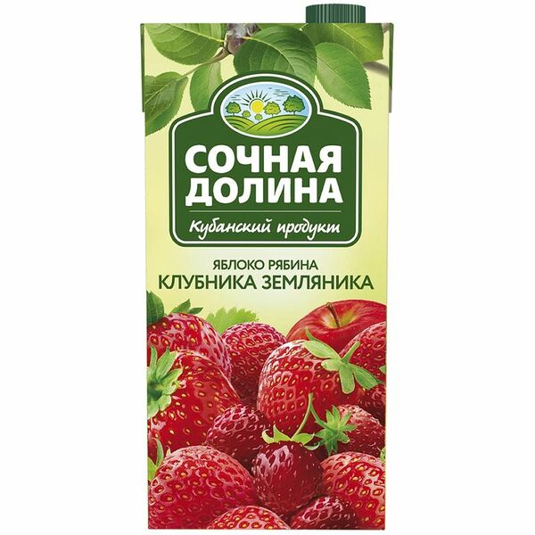 Напиток сокосодержащий Сочная Долина из яблок-рябины-клубники-земляники, 1.93 л